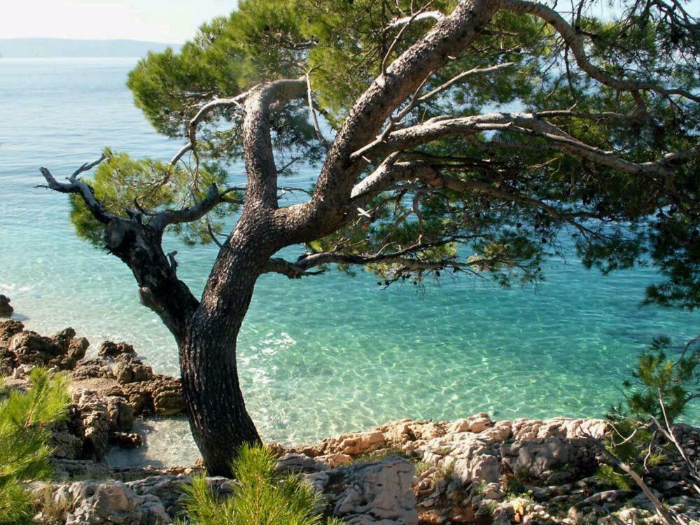 Apartmani Milka I Jozo Omiš Eksteriør bilde